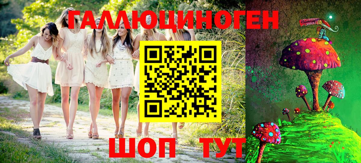 Нальчик  Галлюциногенные грибы Psilocybine cubensis  Вход с VPN 